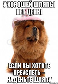 у хорошей шляпы нет цены если вы хотите преуспеть – наденьте шляпу