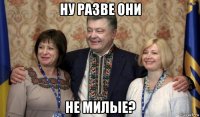 ну разве они не милые?