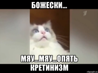 божески... мяу...мяу...опять кретинизм