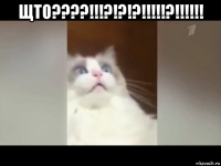 щто????!!!?!?!?!!!!!?!!!!!! 