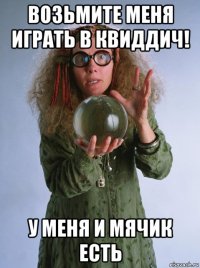 возьмите меня играть в квиддич! у меня и мячик есть