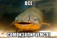 все сомоизолируемся!