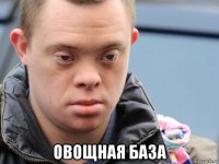  овощная база