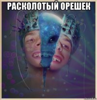 расколотый орешек 