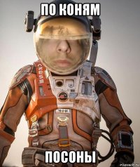 по коням посоны