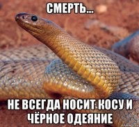 смерть... не всегда носит косу и чёрное одеяние