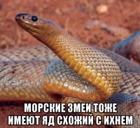  морские змеи тоже имеют яд схожий с ихнем
