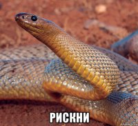  рискни