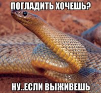 погладить хочешь? ну..если выживешь