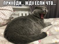приходи... жду если что... 