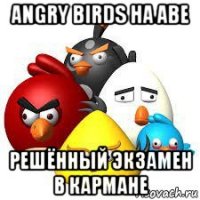 angry birds на аве решённый экзамен в кармане