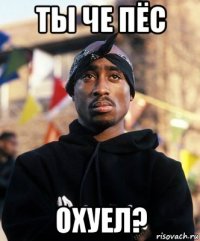 ты че пёс охуел?