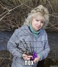  пох