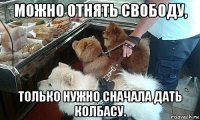 можно отнять свободу, только нужно сначала дать колбасу.