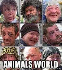  animals world