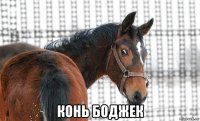  конь боджек