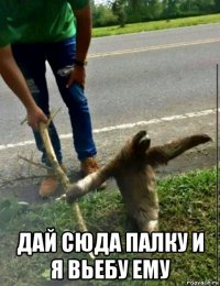  дай сюда палку и я вьебу ему