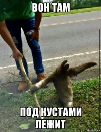 вон там под кустами лежит