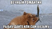 вечный романтик рыбку дайте или сам возьму