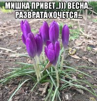 мишка привет..))) весна... разврата хочется... 