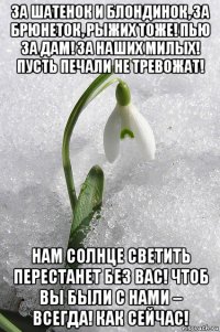 за шатенок и блондинок, за брюнеток, рыжих тоже! пью за дам! за наших милых! пусть печали не тревожат! нам солнце светить перестанет без вас! чтоб вы были с нами – всегда! как сейчас!