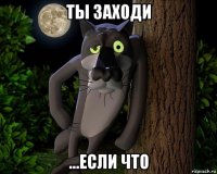ты заходи ...если что