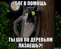 бог в помощь ты шо по деревьям лазаешь?!