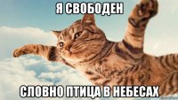 я свободен словно птица в небесах