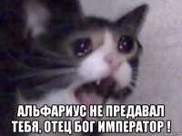  альфариус не предавал тебя, отец бог император !