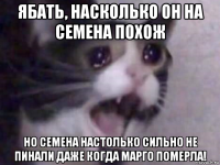 ябать, насколько он на семена похож но семена настолько сильно не пинали даже когда марго померла!