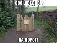 ооо шведова на дороге