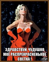  здравствуй, чудушко моё распрекрасненькое светка !