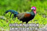  зелёный радужный джунглевый петух