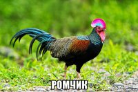  ромчик