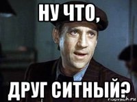ну что, друг ситный?