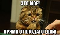 это мое! прямо отшюда! отдай!