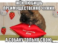 жён любишь преимущественно чужих, а собаку только свою.