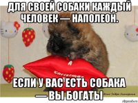 для своей собаки каждый человек — наполеон. если у вас есть собака — вы богаты