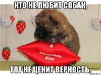 кто не любит собак, тот не ценит верность.