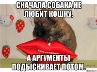 сначала собака не любит кошку, а аргументы подыскивает потом.