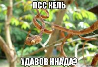 псс кель удавов ннада?
