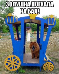 золушка поехала на бал! 