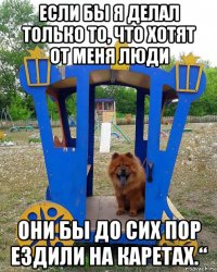 если бы я делал только то, что хотят от меня люди они бы до сих пор ездили на каретах.“