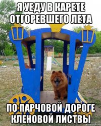 я уеду в карете отгоревшего лета по парчовой дороге кленовой листвы