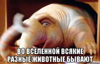  во вселенной всякие разные животные бывают