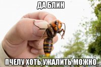 да блин пчелу хоть ужалить можно