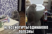  не все йогурты одинаково полезны
