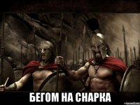  бегом на снарка