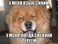 у меня язык синий, у меня, когда ежевики переем