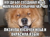когда бог создавал небо, маленькая собачка чау-чау лизнула кусочек неба и окрасила язык